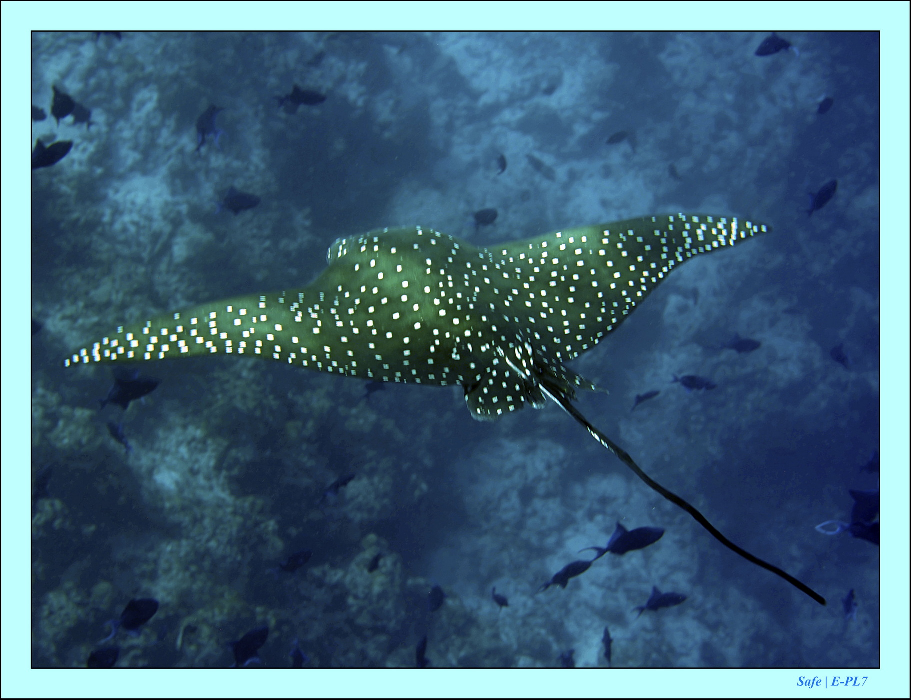 2023 - 07 - Sandies Bathala - 106